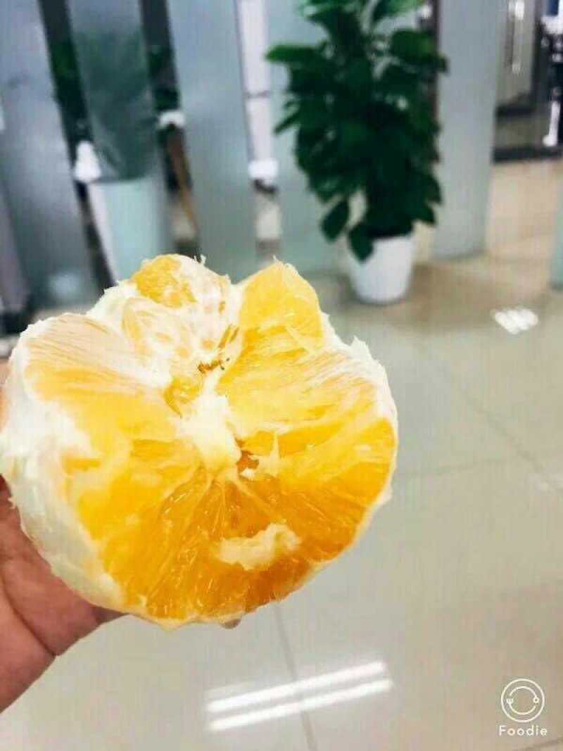 赣南脐橙