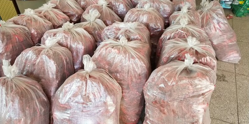 【精选药材苗】江西单叶蔓荆子枝条提供技术包回收