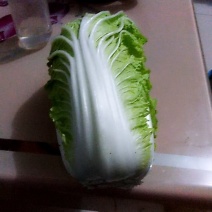 娃娃菜