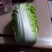娃娃菜