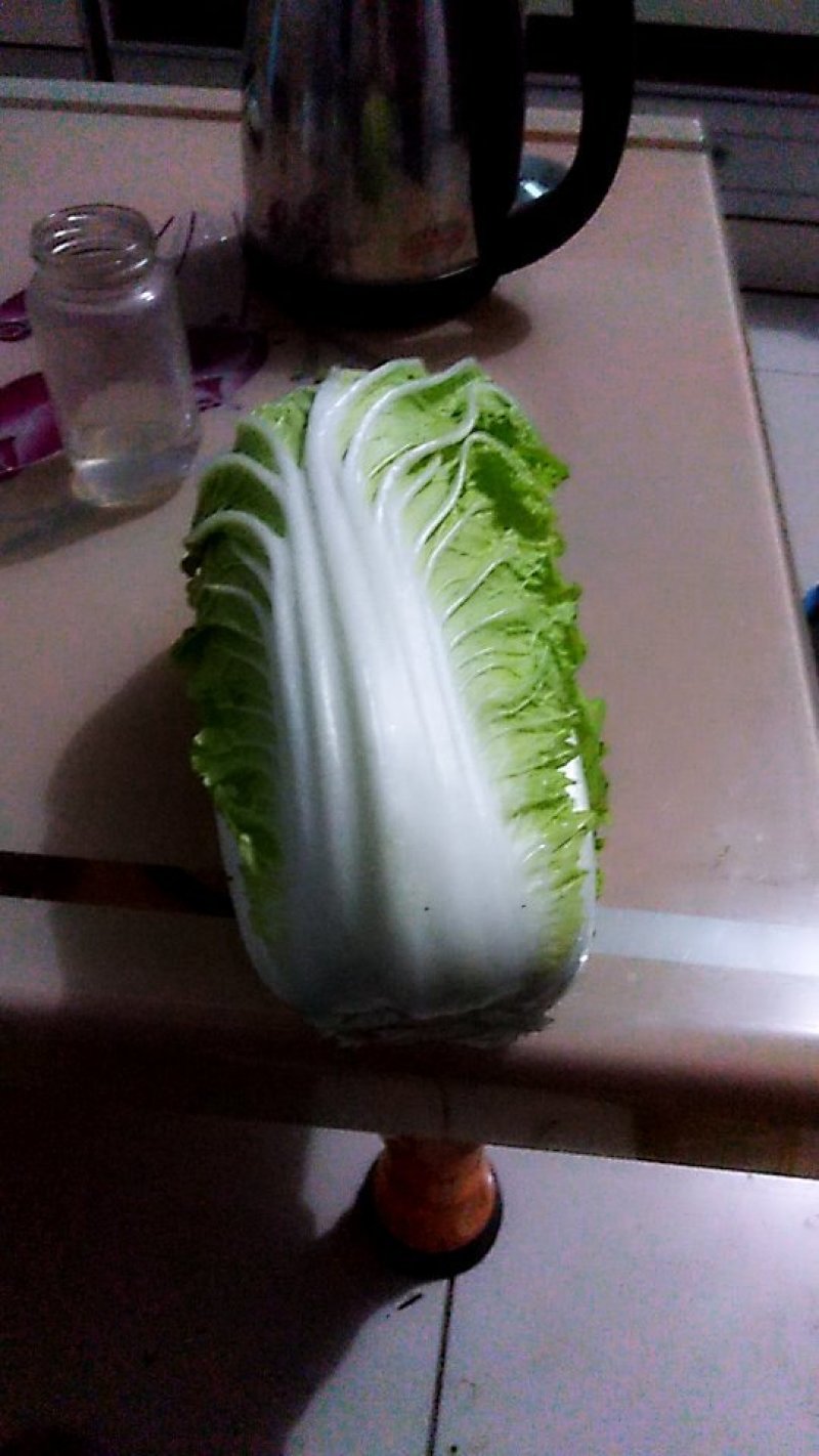 娃娃菜