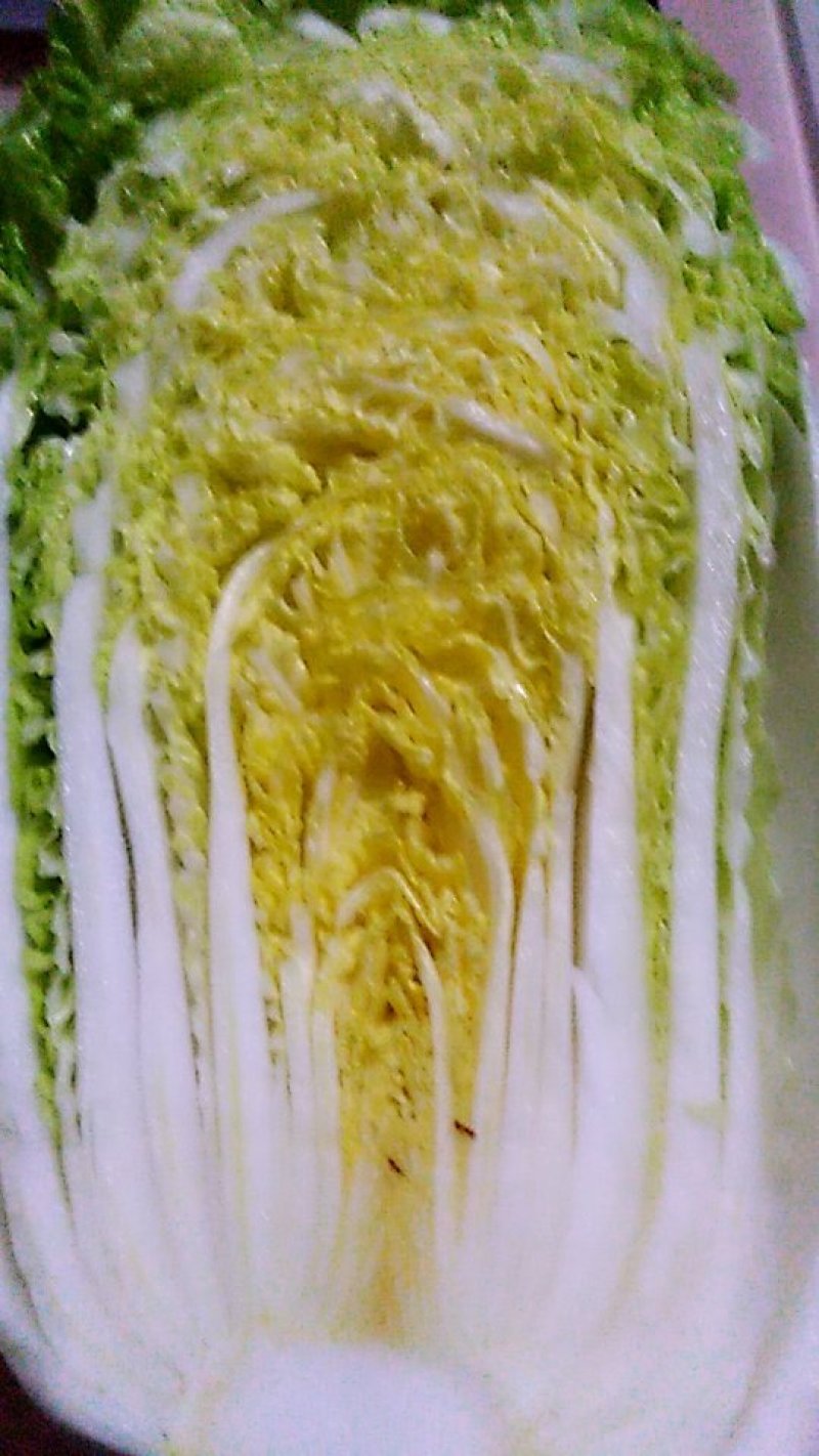 娃娃菜