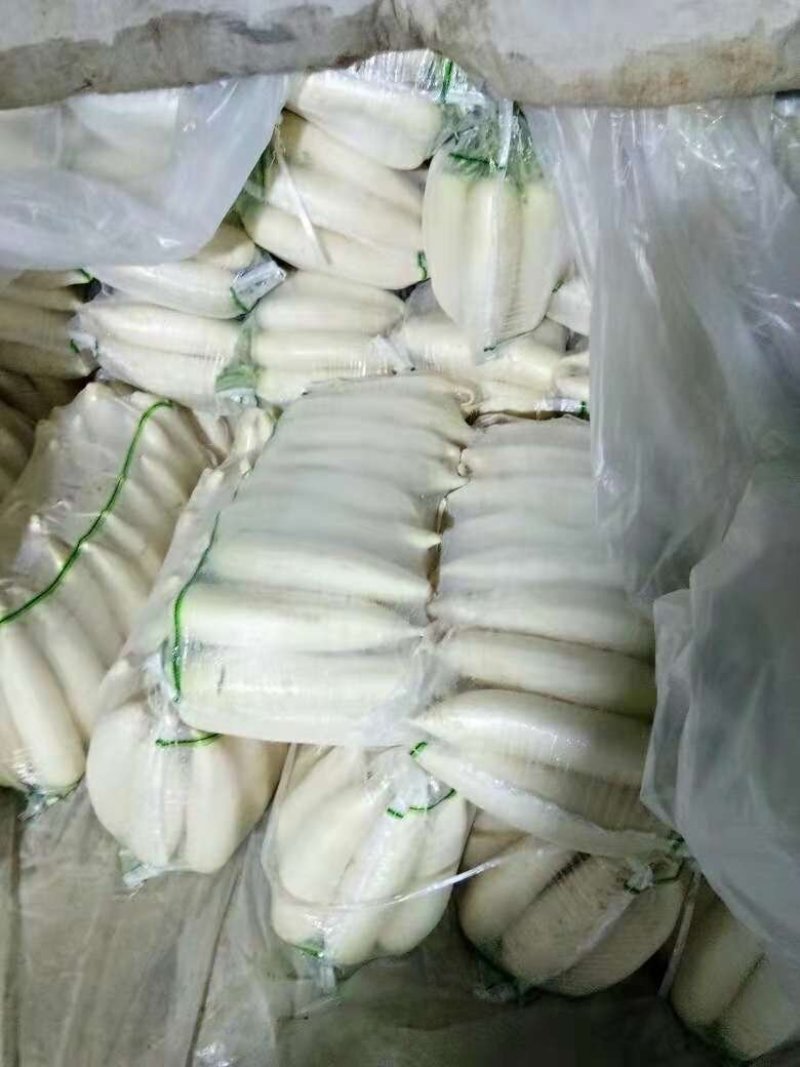 白玉白萝卜