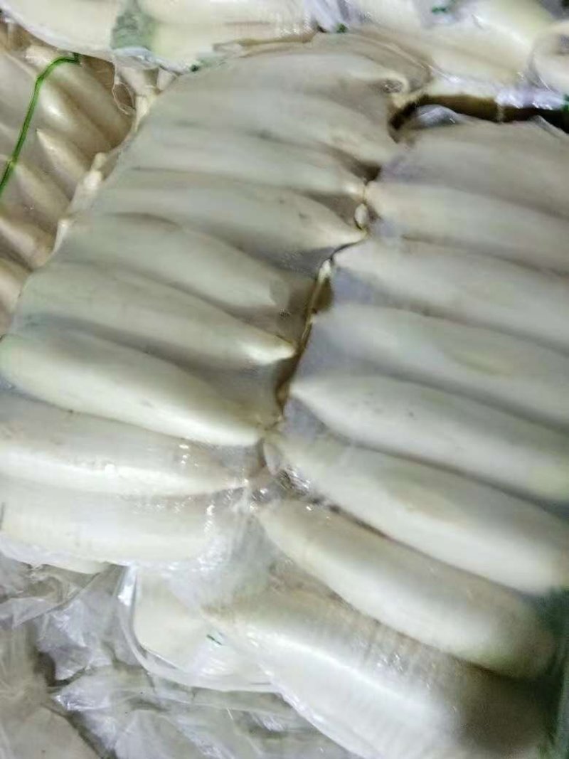 白玉白萝卜