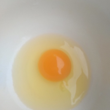 鸡蛋