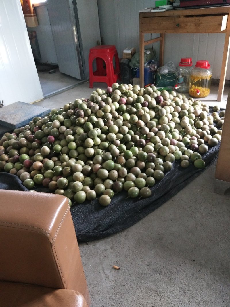 百香果