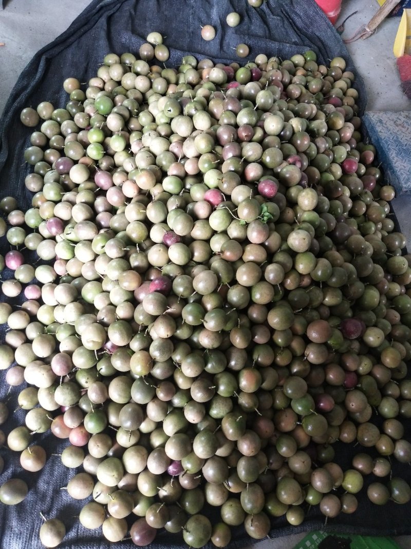 百香果