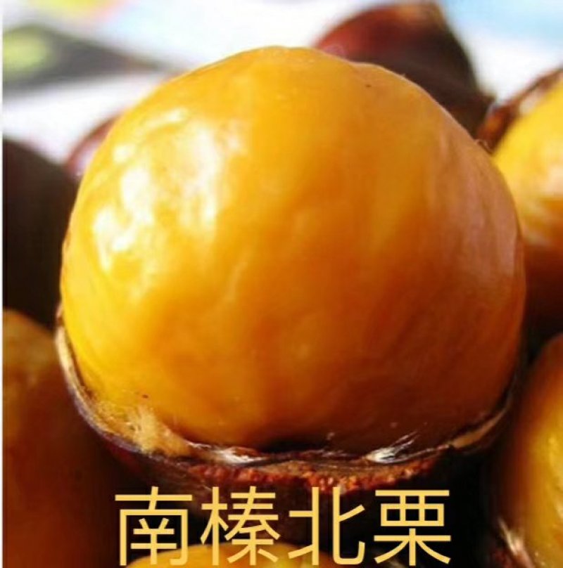 建瓯糖炒锥栗