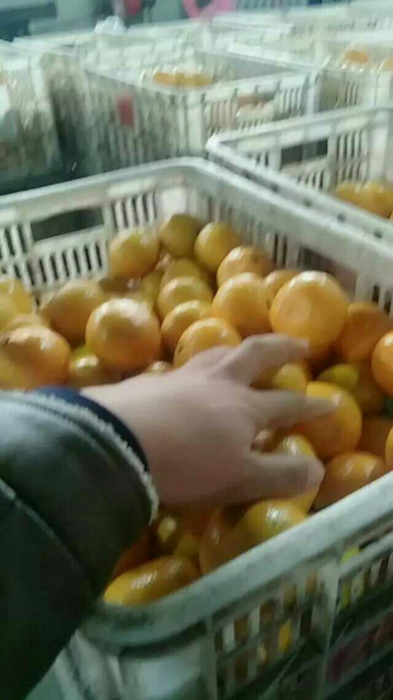 水果