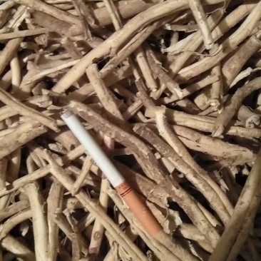 白鲜皮小条，大条，统货。