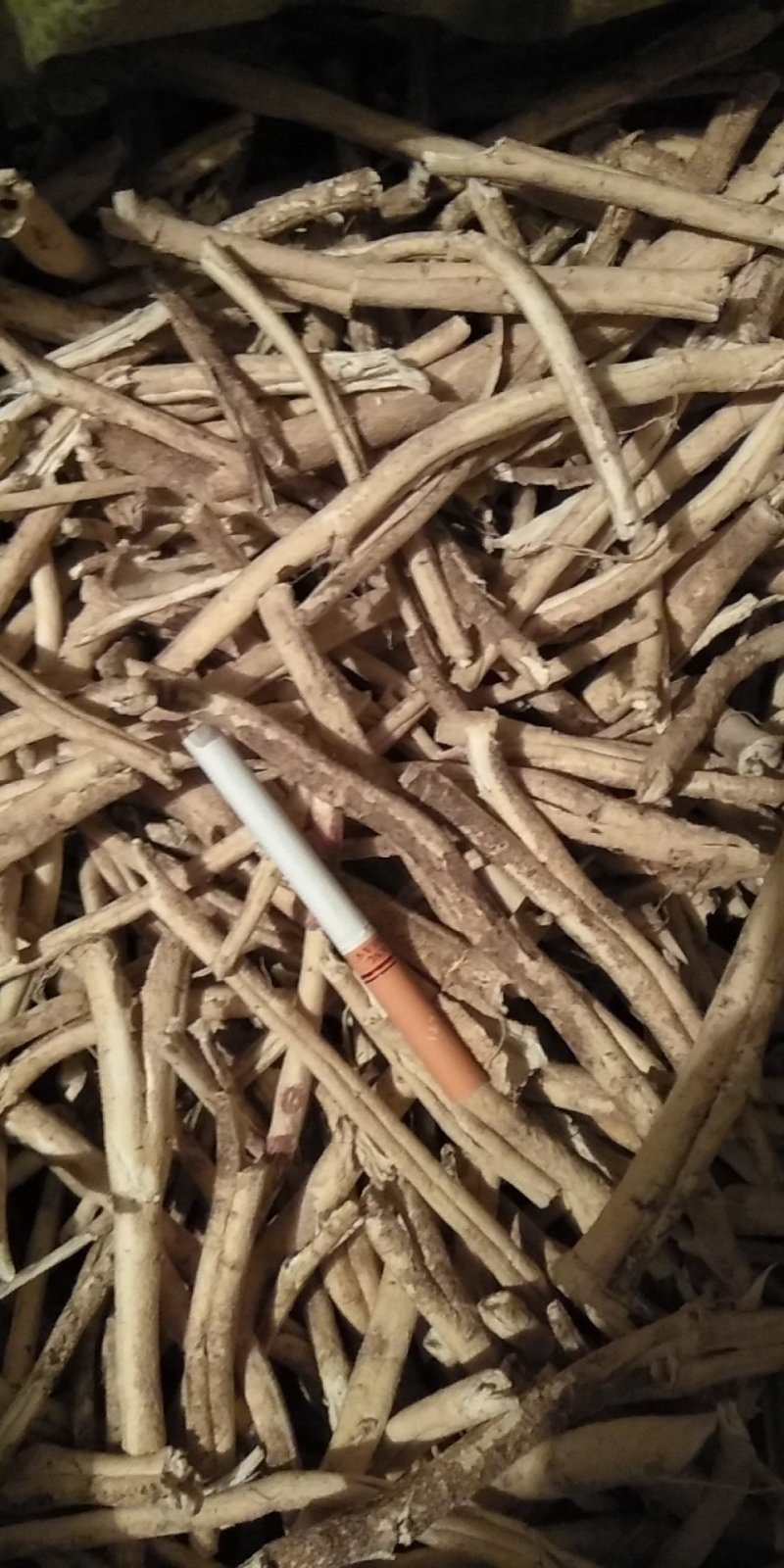 白鲜皮小条，大条，统货。