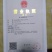 连翘苗，药用连翘苗巜一年连翘苗，2年连翘苗》杯苗连翘苗