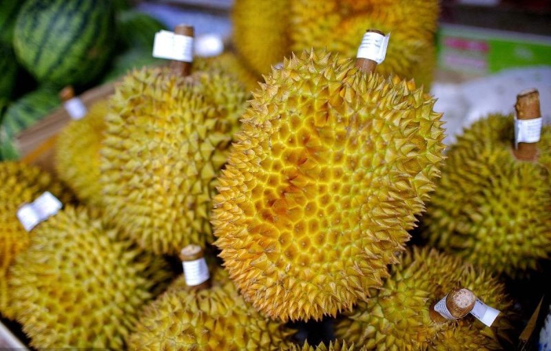 泰国进口金枕榴莲一件代发招代理