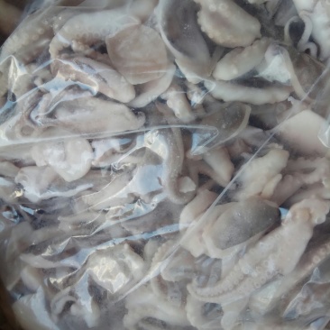 脆口高品质八爪鱼单冻切段产地直供货源充足欢迎咨询