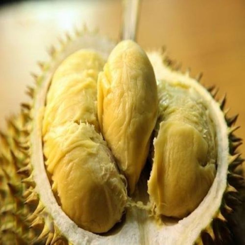 泰国进口金枕榴莲一件代发招代理