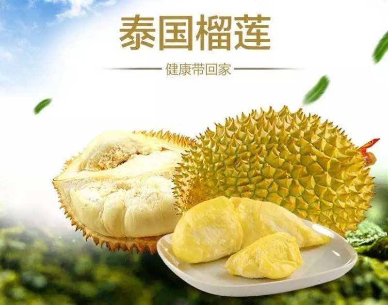 泰国进口金枕头榴莲一件代发招代理