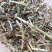 花生秧正阳中原草业有限公司