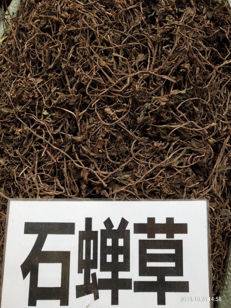 中药材，石蝉草，产地一手货源，批发，零售