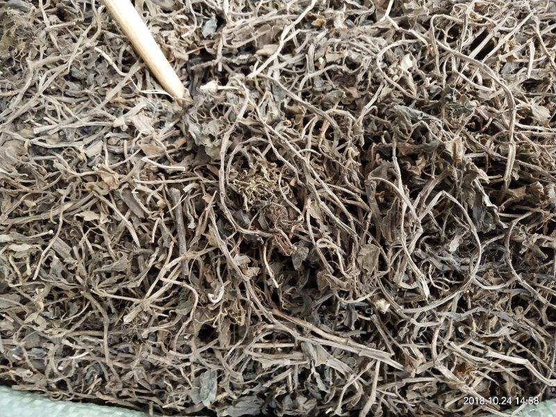 中药材，石蝉草，产地一手货源，批发，零售