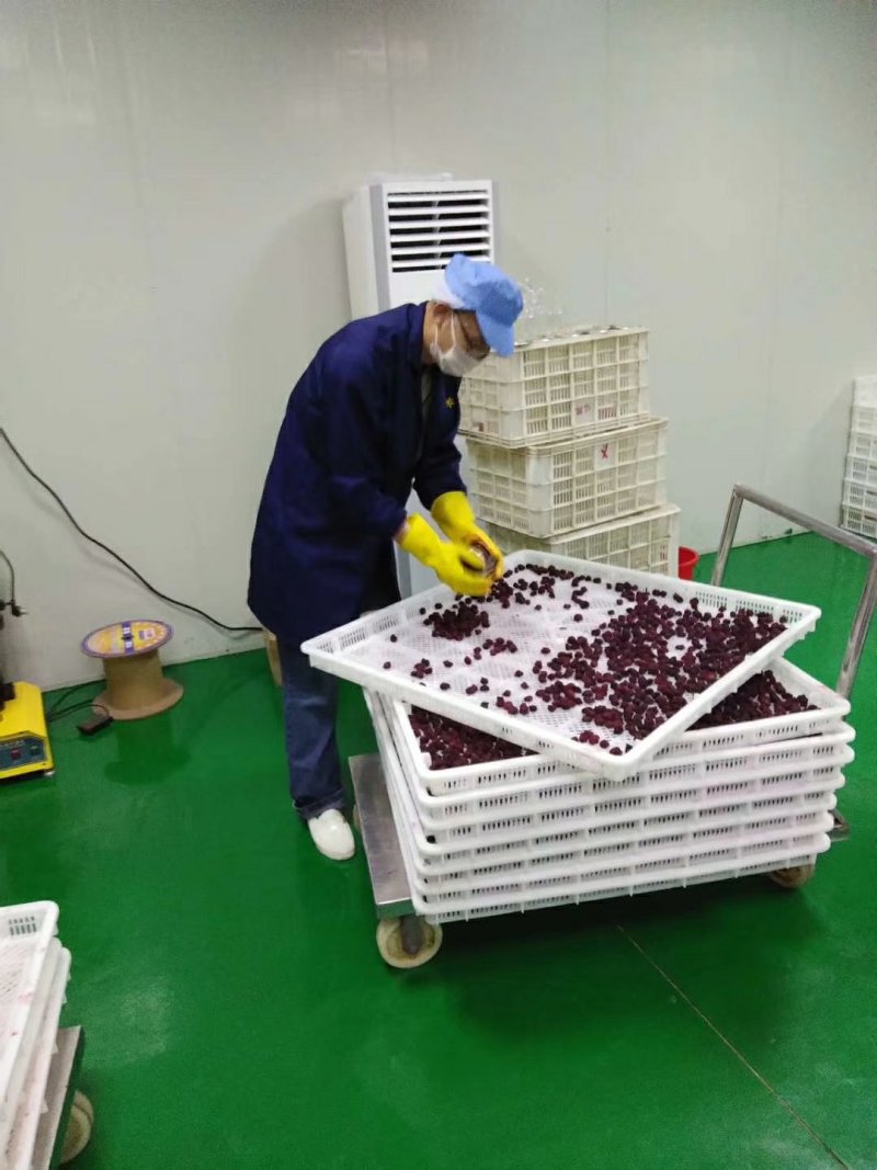 原味杨梅干
