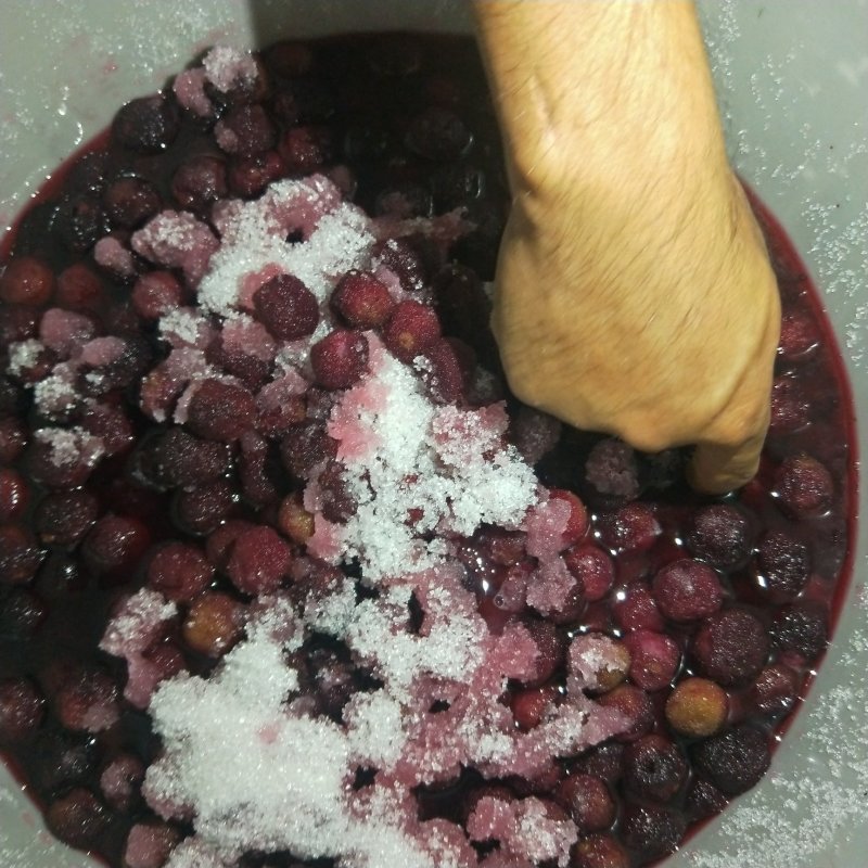 原味杨梅干