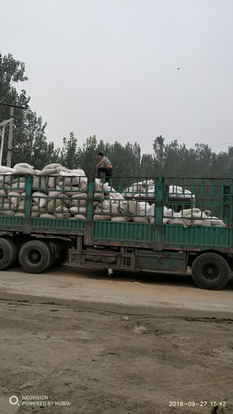 黄粉虫粪虫沙一手货源大量供应