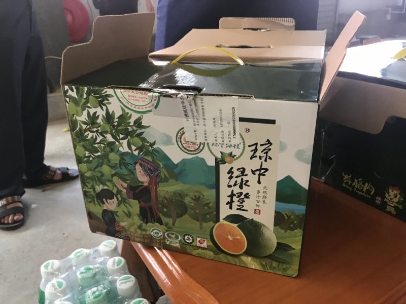 海南琼中绿橙批发供应