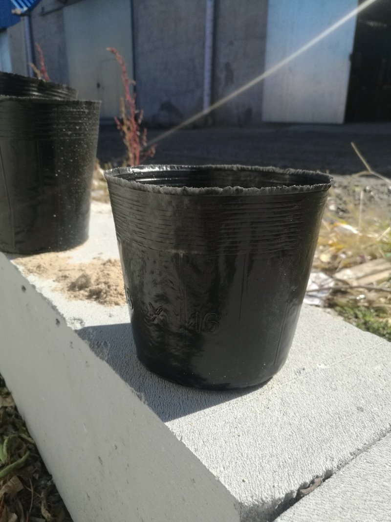 营养杯育苗杯营养钵一次性育苗盆营养袋花卉育苗