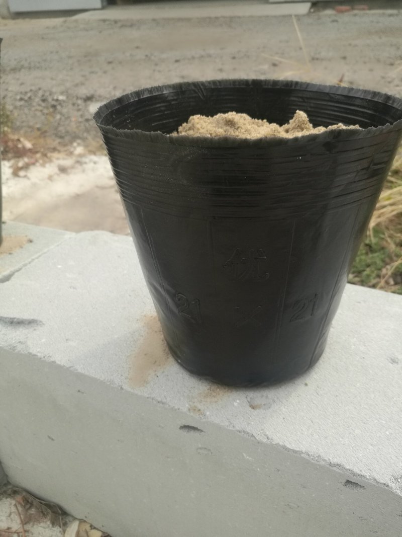 营养杯育苗杯营养钵一次性育苗盆营养袋花卉育苗