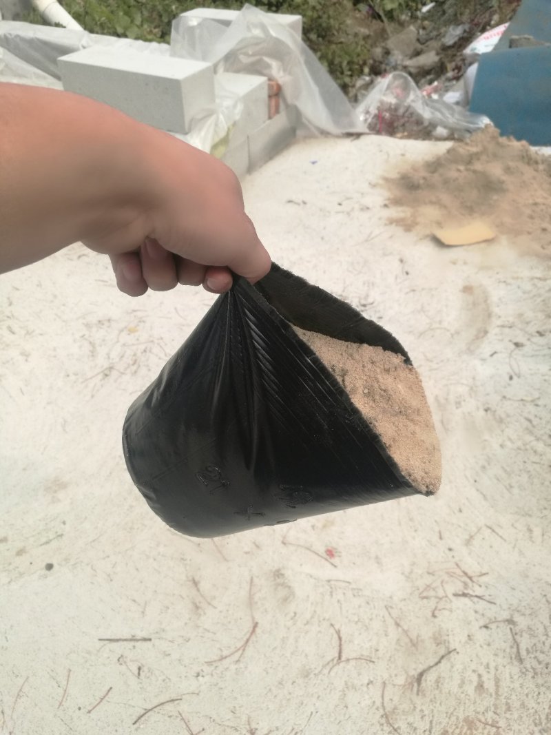 营养杯育苗杯营养钵一次性育苗盆营养袋花卉育苗