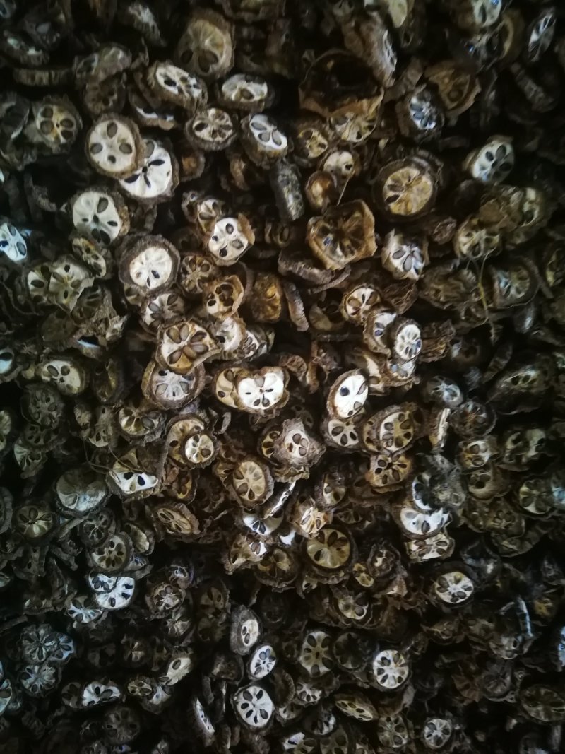 新货湖北八月扎片干货，预知子小片