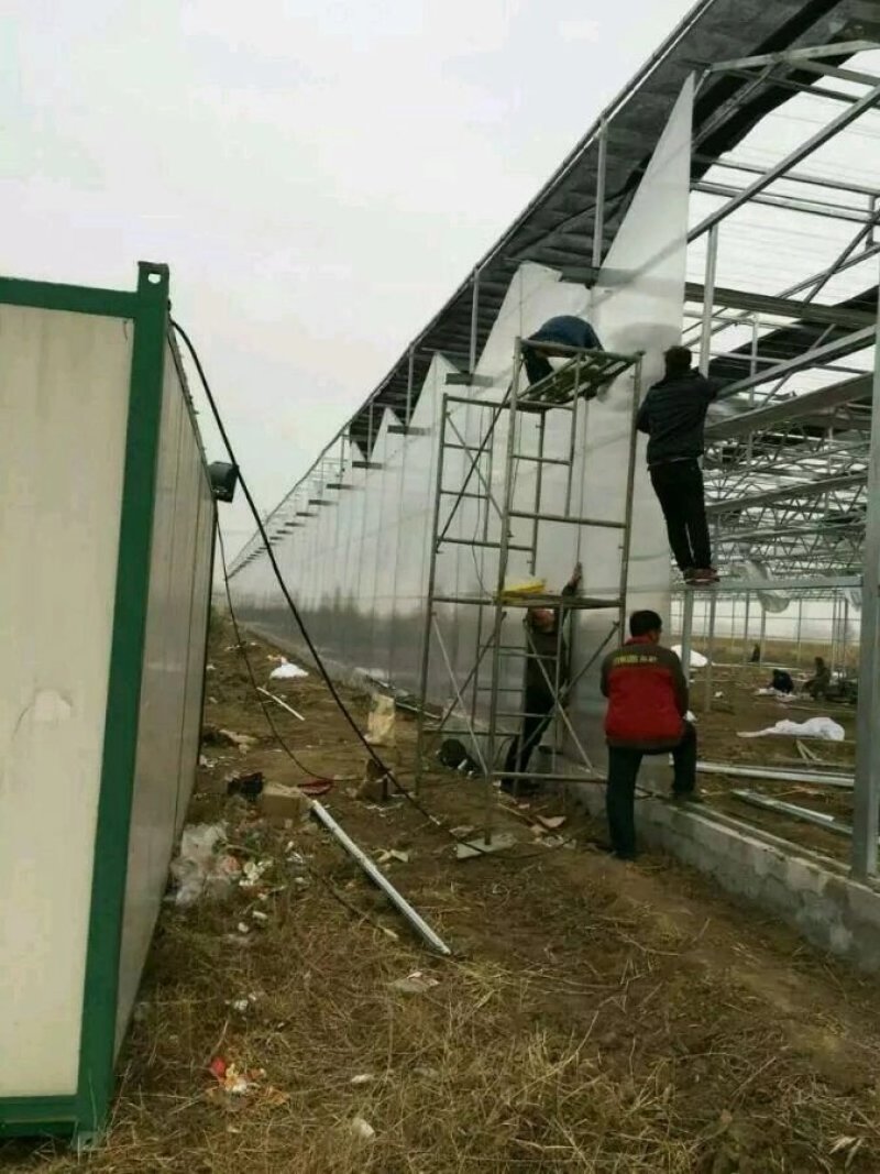 花卉大棚