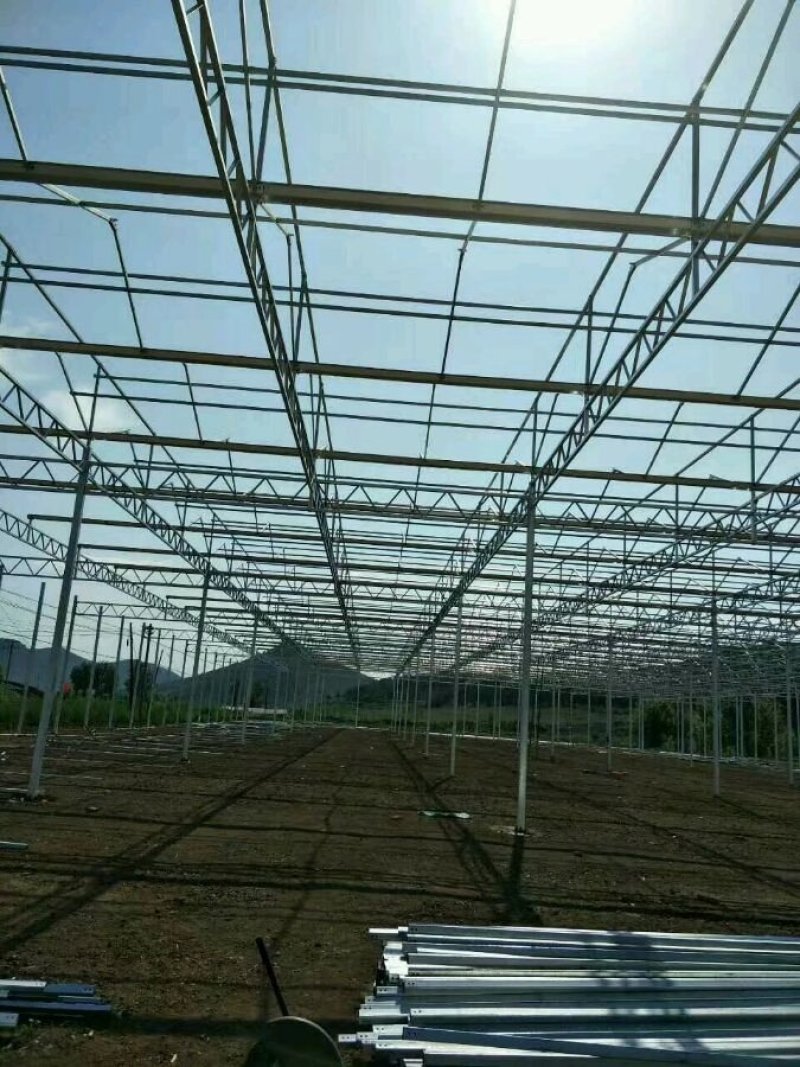 花卉大棚