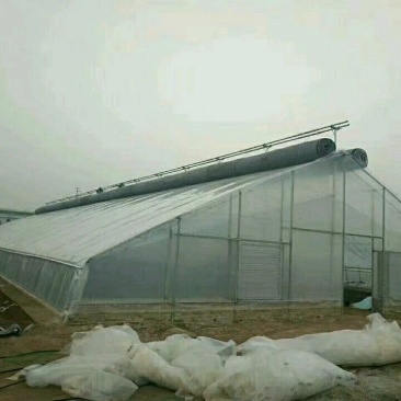 花卉大棚