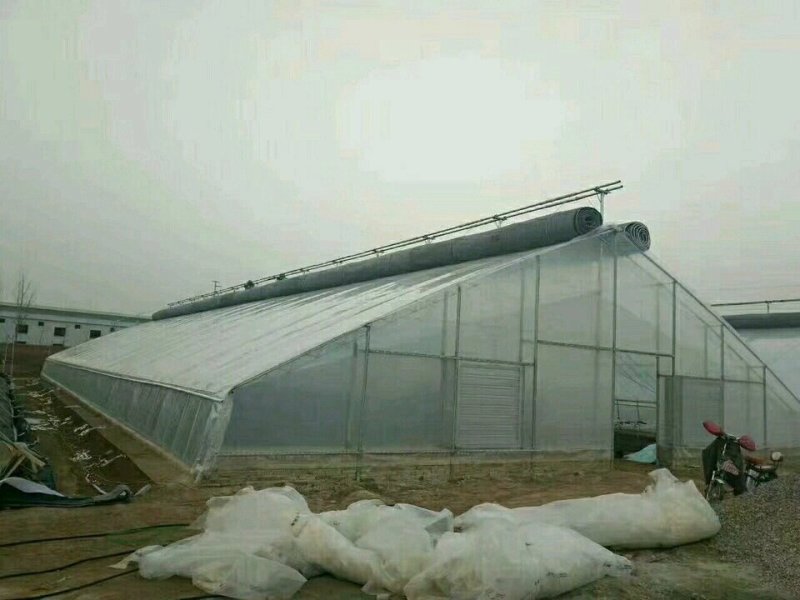 花卉大棚
