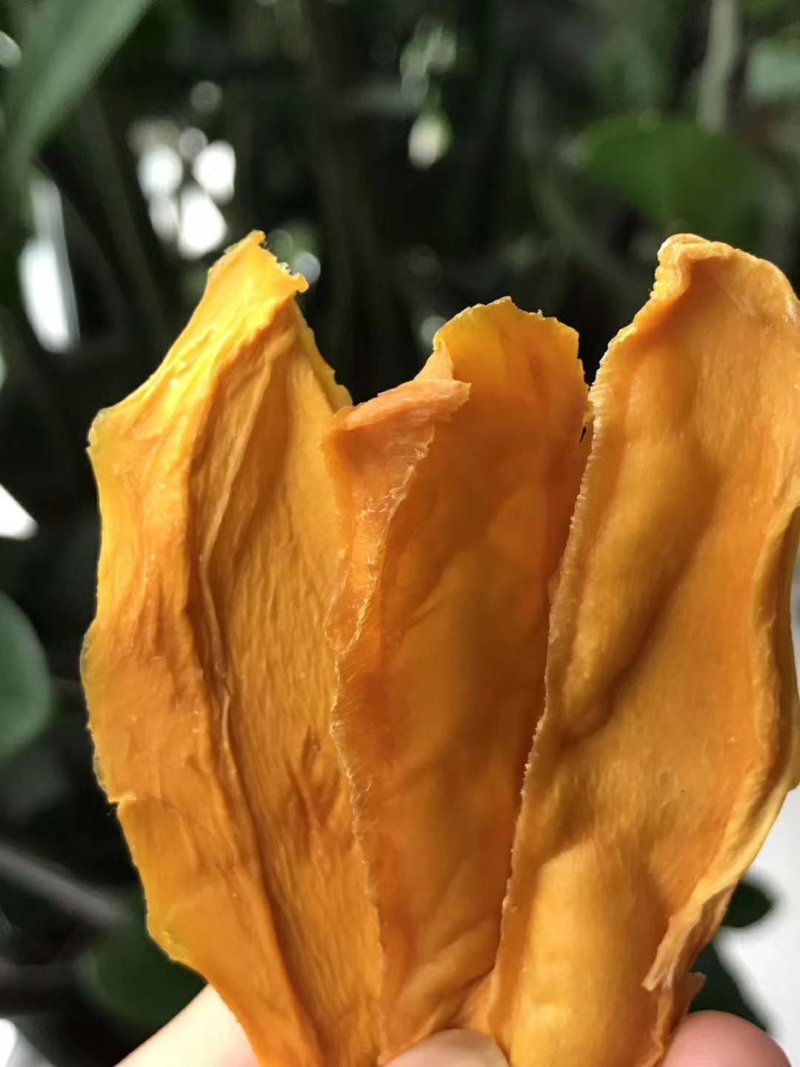 原味纯手工芒果干非越南货产地直发支持一件代发
