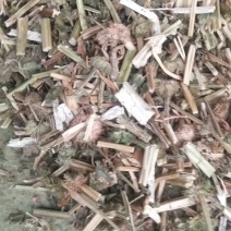益母草