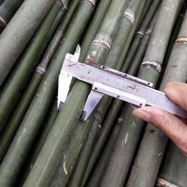 菜架竹竿豆角扦