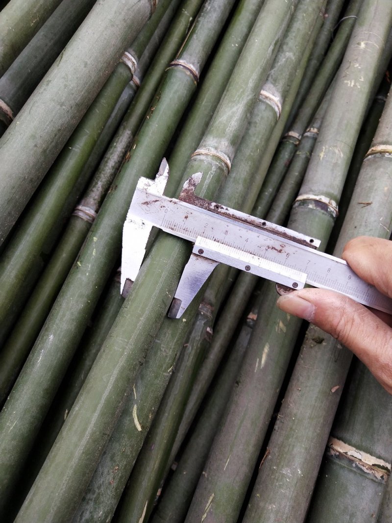 菜架竹竿豆角扦