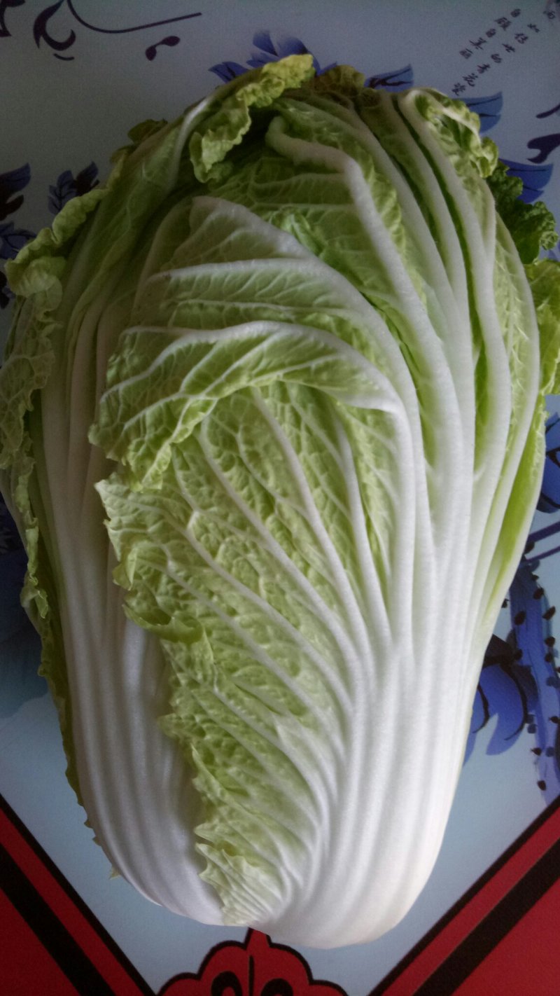 白菜