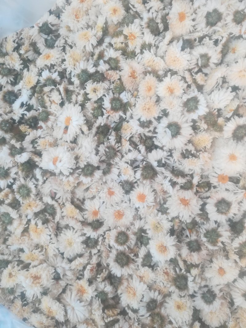 太阳菊，，烘干货，无杂志，
