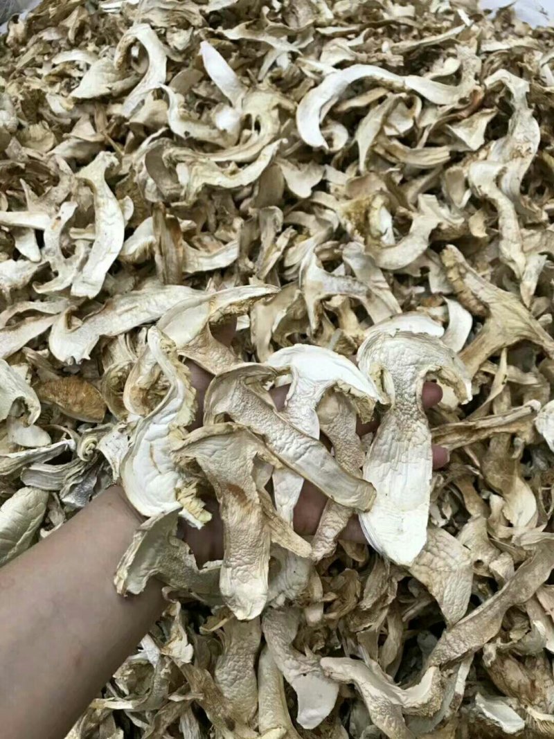 云南香格里拉野生松茸干片