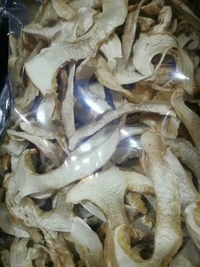 云南香格里拉野生松茸干片