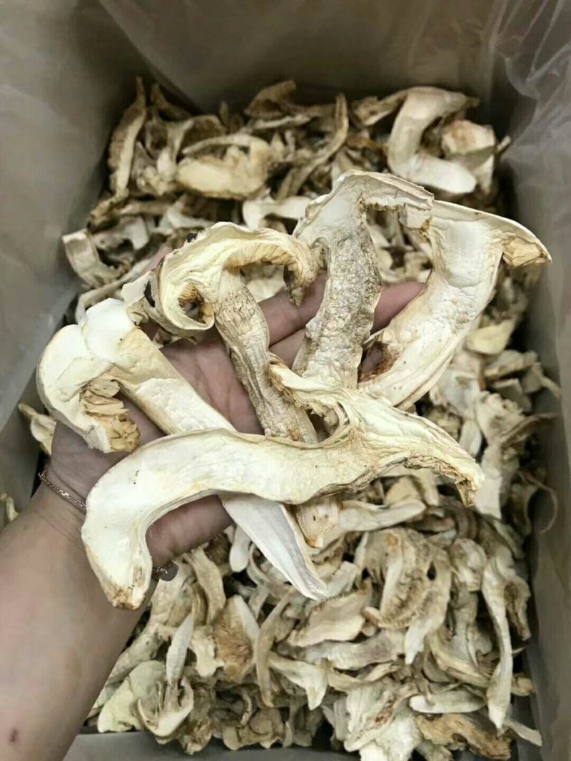 云南香格里拉野生松茸干片