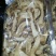 云南香格里拉野生松茸干片
