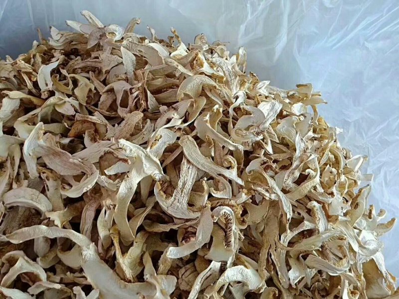 云南香格里拉野生松茸干片