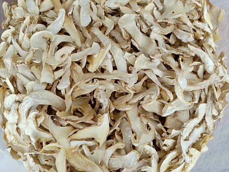 云南香格里拉野生松茸干片