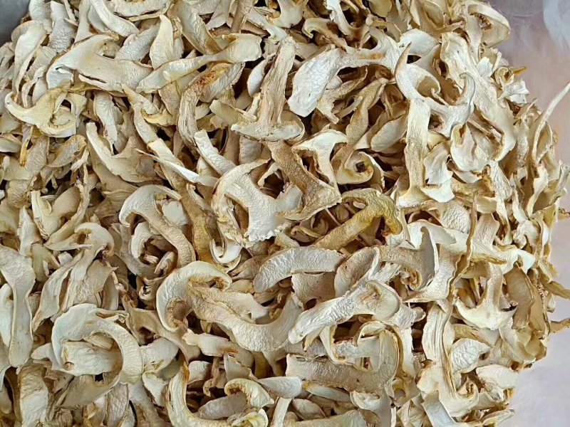 云南香格里拉野生松茸干片