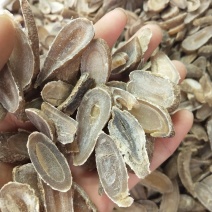 郁金无硫磺云南郁金实物拍摄质量保证中药材批发零售