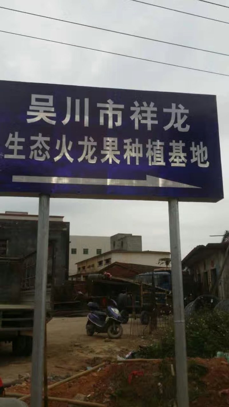 桂龙红
